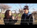 Biofrutta, il biologico di qualità. Video intervista di Romagnagazzette.com