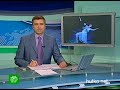 Видеоновость La Scala приехал в Москву | Миланский театр привез в два балетных спектакля