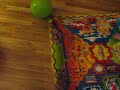 the ball that comes to a complete stop when you roll it