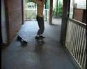 videos de korora school skating