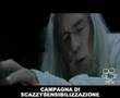 Il Signore Degli Spinelli