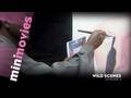 videos de Minimovies: Wild Scenes - Episodes 3