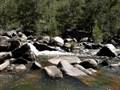Blue Mountains Cox's River