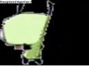 Gir is whte and nerdey
