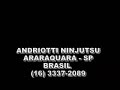 Ninjutsu Araraquara