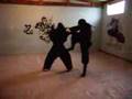 Ninjutsu Araraquara