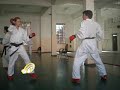 shiai kumite curso shiai kumite curso