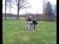 vlinder-in-ton.html