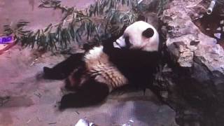 Smithsonian National Zoo