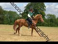 Show jumping/Xcountry at pony camp ! Show jumping/Xcountry at pony camp !