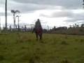 videos de A aprendiz do domador de cavalos!