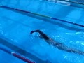 Total Immersion Long Axis Warm up with FistGloves שחייה