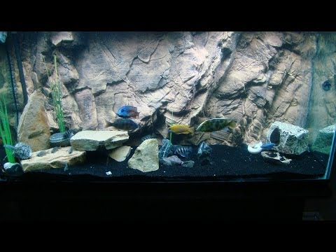 how to attach aquarium backgrounds