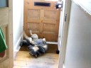 Australian cattle dog having a rub down!!!!!!!!