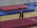 2007 IHSA Floor Finals (part 1)