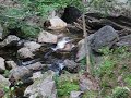 Ma in New England 2
