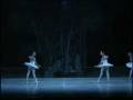 videos de Anette Delgado - Ballet Nacional de Cuba - Swan Lake - 2
