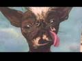 ELWOOD THE WORL'S UGLIEST DOG