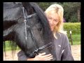 KFPS Fries Paard OBBE zijn eerste 3 Jaren van zijn leventje! KFPS Fries Paard OBBE zijn eerste 3 Jaren van zijn leventje!