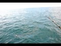 videos de Anna Fishing Costa Rica