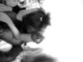 videos de rather long straw :)