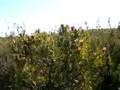 Ecotour08
