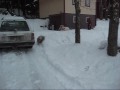 PONit ulkoilee - PONs out in the snow