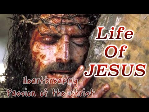 HD Online Player (passion of christ movie in hindi hd )