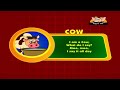 Animal Sounds in Hindi - Cow