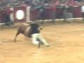 Vacas koki