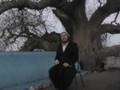 avraham-malach-low