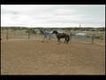 videos de Mike Bertin training Vikingo de Los Angeles