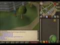 [RS] Fire cape glitch