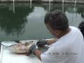 12-19-08 Catch of the Day (HIGH-RES)