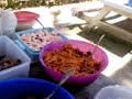 zillah hope de veyra bday part1