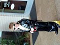 elvis,tiny elvis,