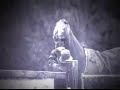 Alan Swinbank Video Feature