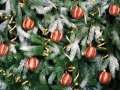xmas.flv