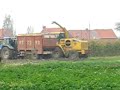 maisoogst 2007 III