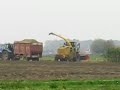 maisoogst 2007 III