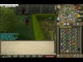 clip0041.avi
