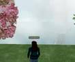 Education in Second Life: Explore the Possibilities