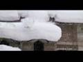 Teaser Seven Sunny Days - Matchstick Productions