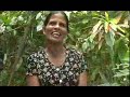WOCCU Sri Lanka: Credit Unions Rebuilding WOCCU Sri Lanka: Credit Unions Rebuilding