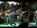 Cacti Live at Bourbon Street