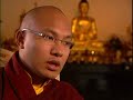 karmapa-on-pbs-religion-ethics-newsweekly-.html
