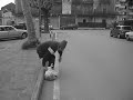 Liceo Medi Battipaglia VD -Corto- Regia Vincenzo Amendola Liceo Medi Battipaglia VD -Corto- Regia Vincenzo Amendola