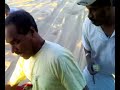 طلعة شقيمة صيف1428هـ موسى وعمر صقير