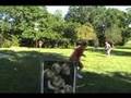 Wiffle ball Hitting
