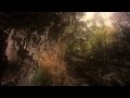 The Great Himalayan National Park - YouTube